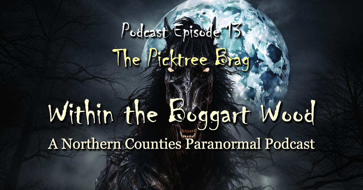 Read more about the article Episode 13. The Picktree Brag