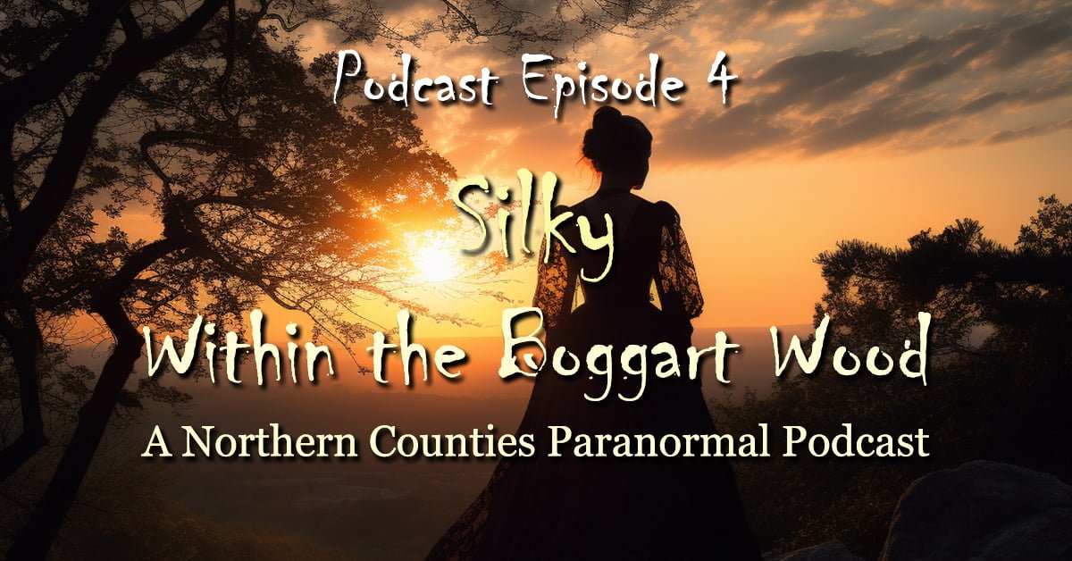 Read more about the article Episode 04. Silky