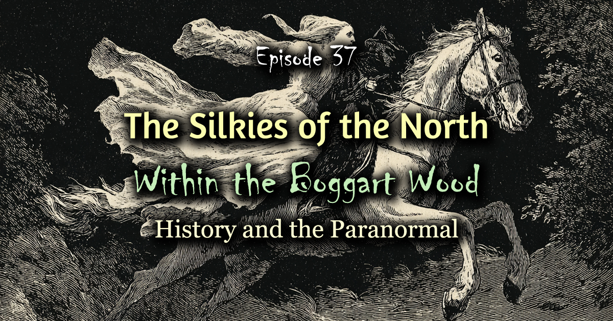 Read more about the article Episode 37. Silky and her sisters: the Silkies of the North