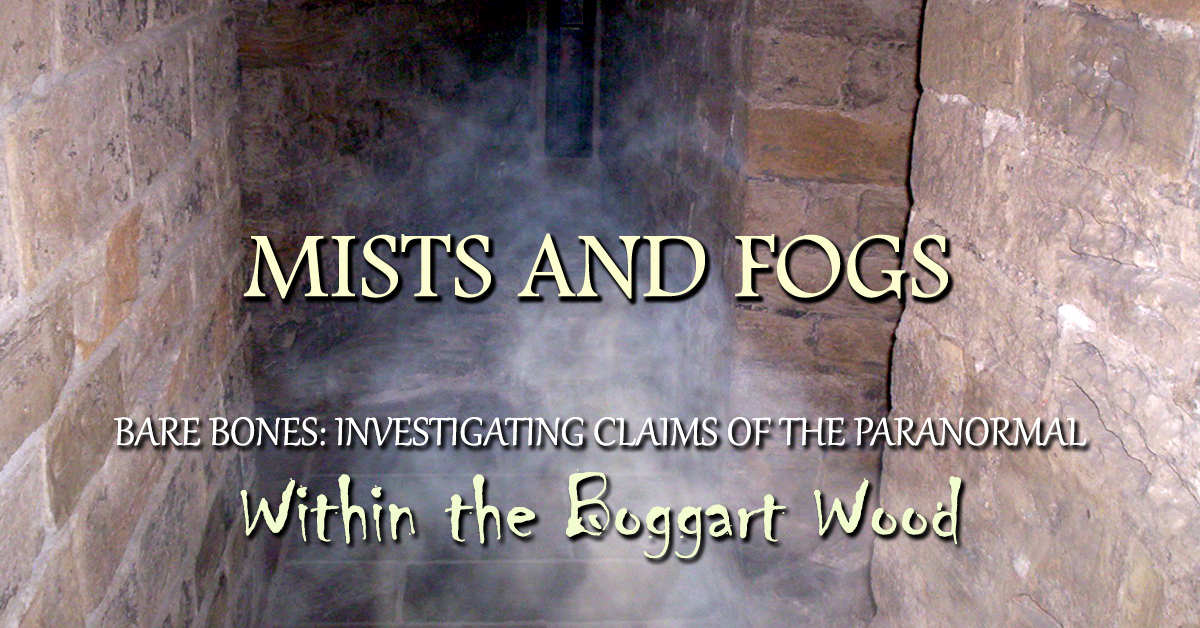 Read more about the article Mists and fog: investigating photography