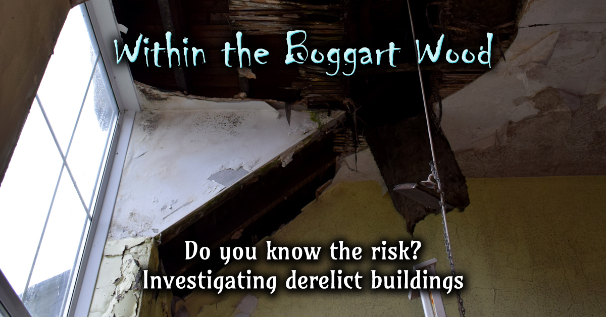 Read more about the article Do you know the risk? Investigating derelict buildings